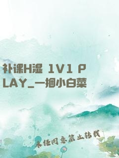补课H湿 1V1 PLAY